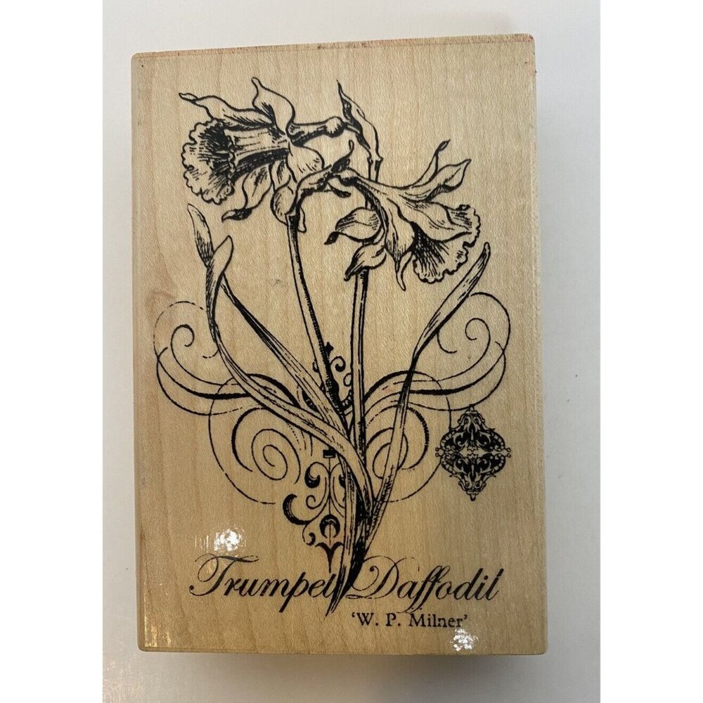 Trumpet Daffodil Rubber Stamp Botanical Design By W.P. Milner Wooden Mount Craft